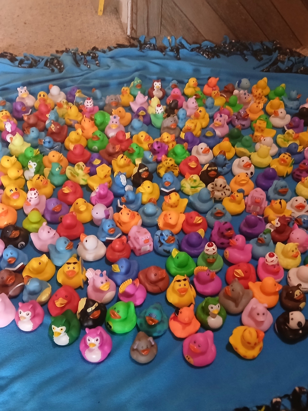 Large Colorful Rubber Duck Collection - Multi-Color
